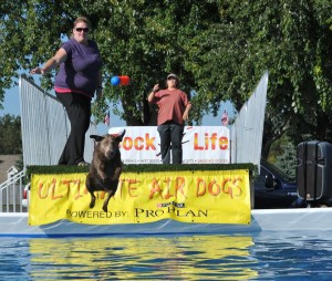 10676380_556771054450034_6397914562319002656_n